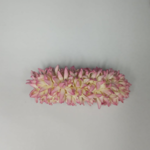 Jathi malli center clip