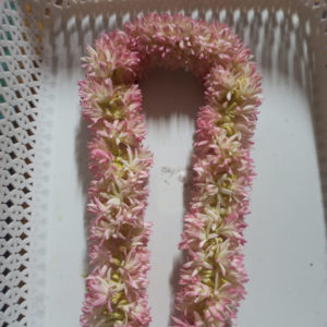 Jathi with center clip