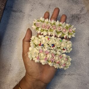 Jasmine Center Clip Combo1