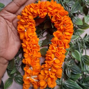 kanakambaram center clip with string