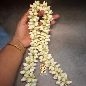 Malli Mottu